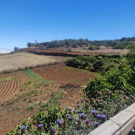 El Cercadillo Casa de Férias Gáldar